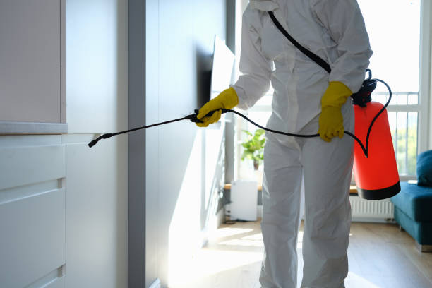 Best Mold Remediation Experts  in Garden City, MI