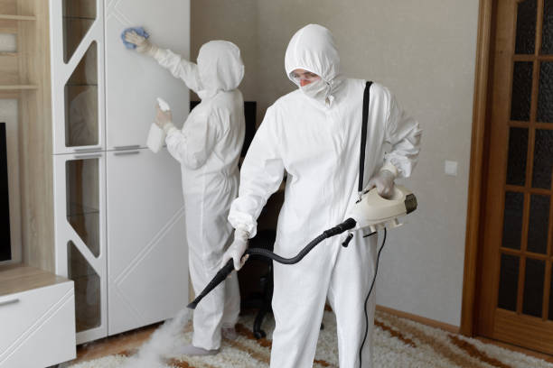 Professional Mold Removal in Garden City, MI