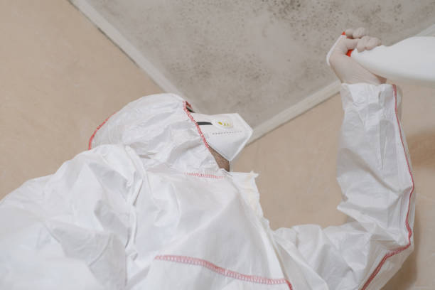 Best Commercial Mold Removal  in Garden City, MI